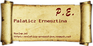 Palaticz Ernesztina névjegykártya